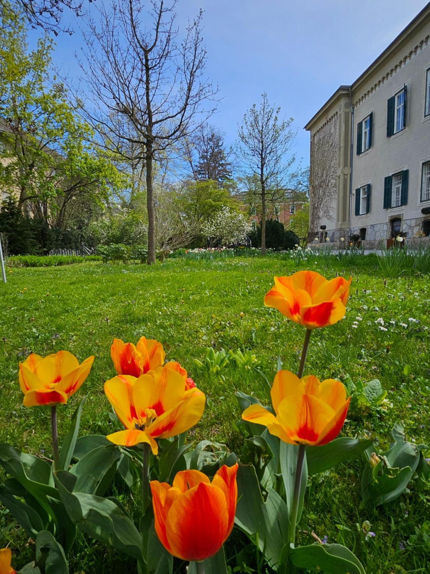 Yellow Flat By Grazrentals With Best Location & Free Parking Buitenkant foto