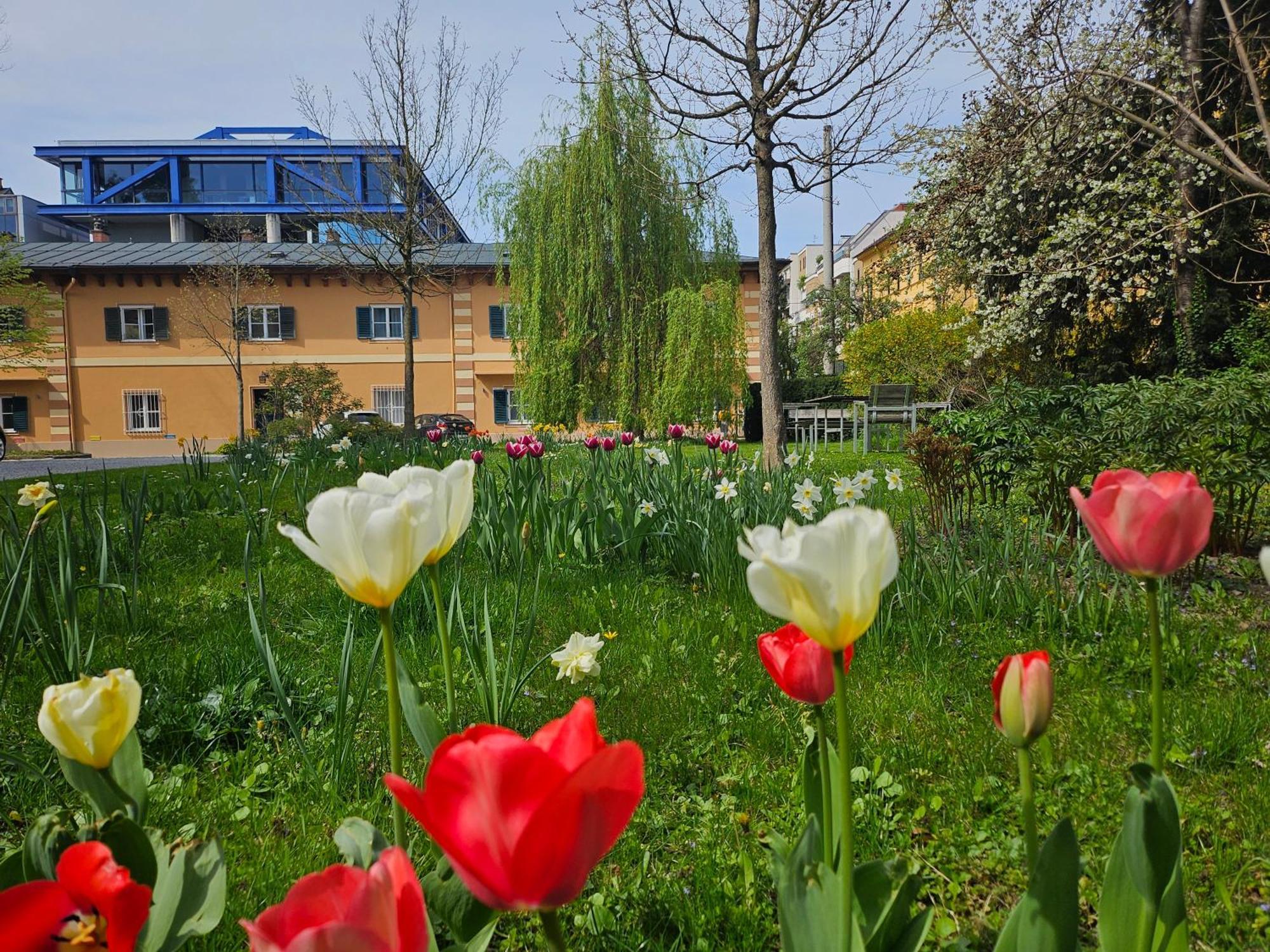 Yellow Flat By Grazrentals With Best Location & Free Parking Buitenkant foto